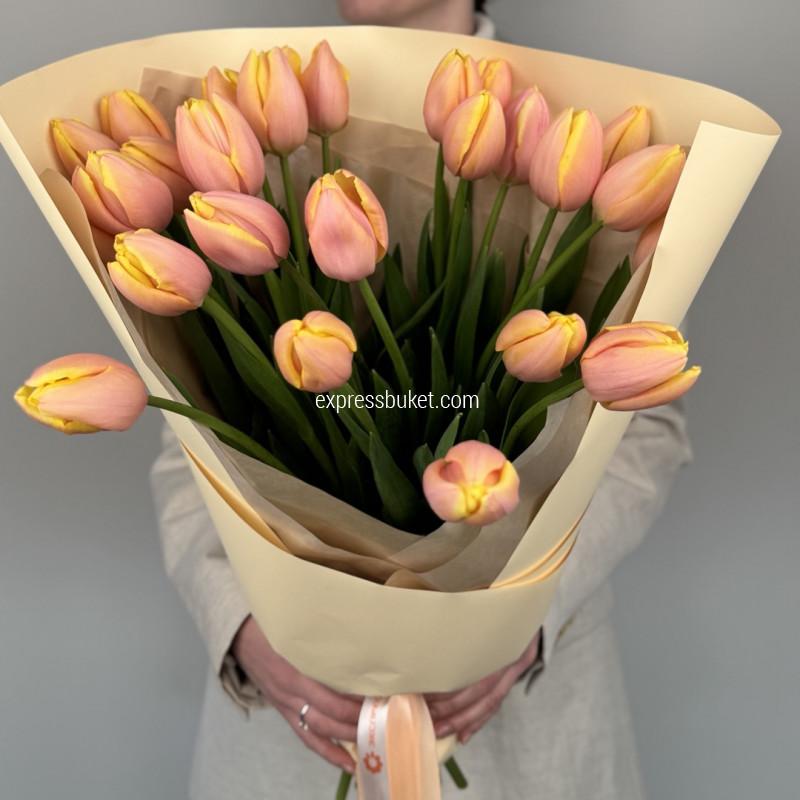 Тюльпаномания