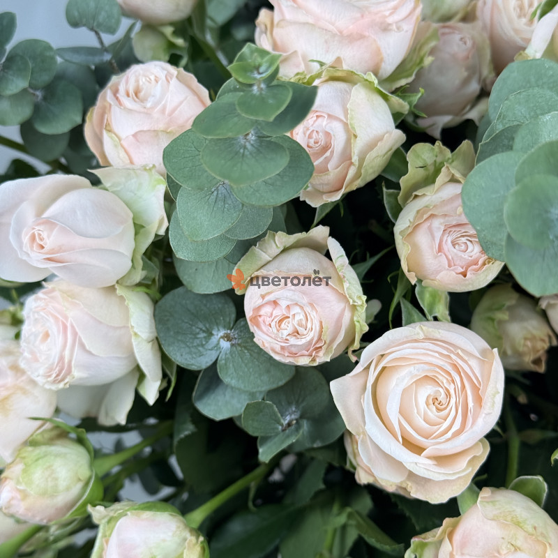 Нежный букет из 15 кустовых роз